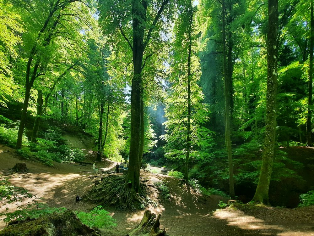 Sandsteinhöhlen