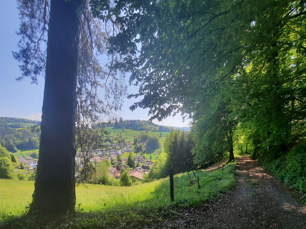 Teufenthal