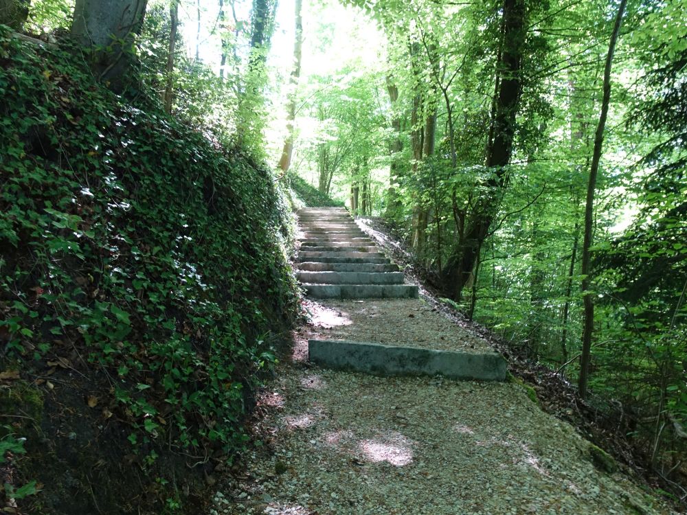 Treppe zum Schloss
