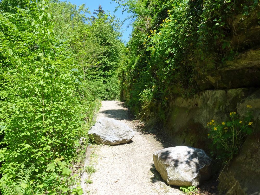 Weg beim Schloss