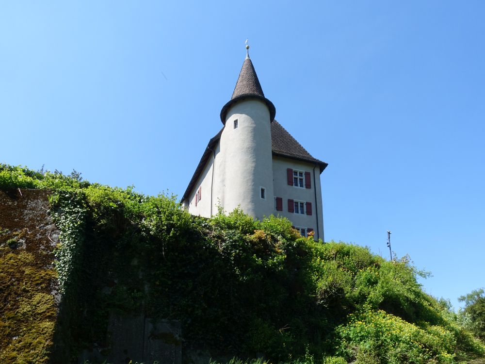 Schloss Liebegg