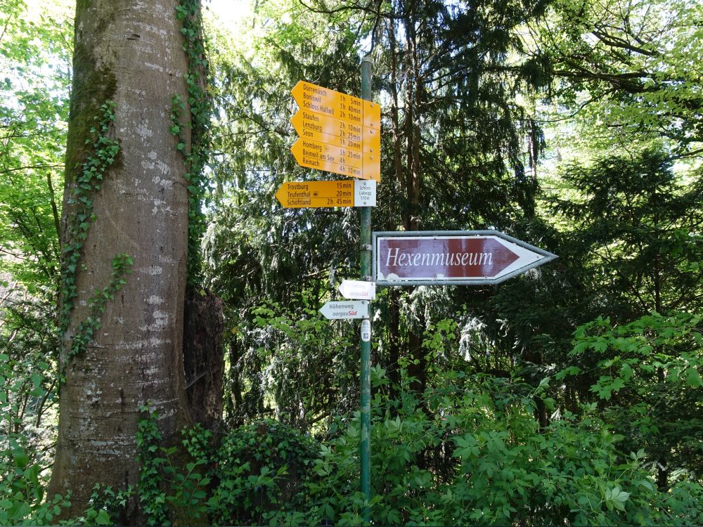 Wanderwegweiser