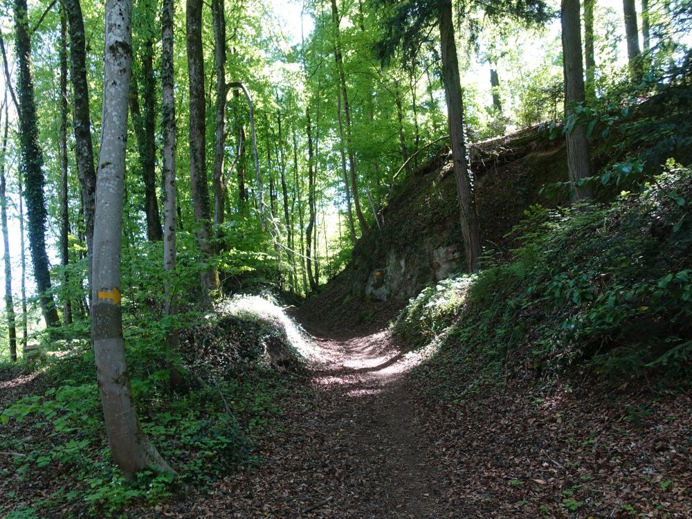 Hohlweg