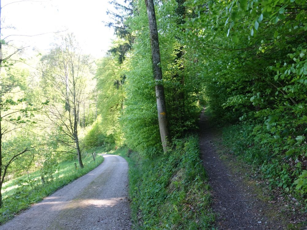 Pfadabzweig