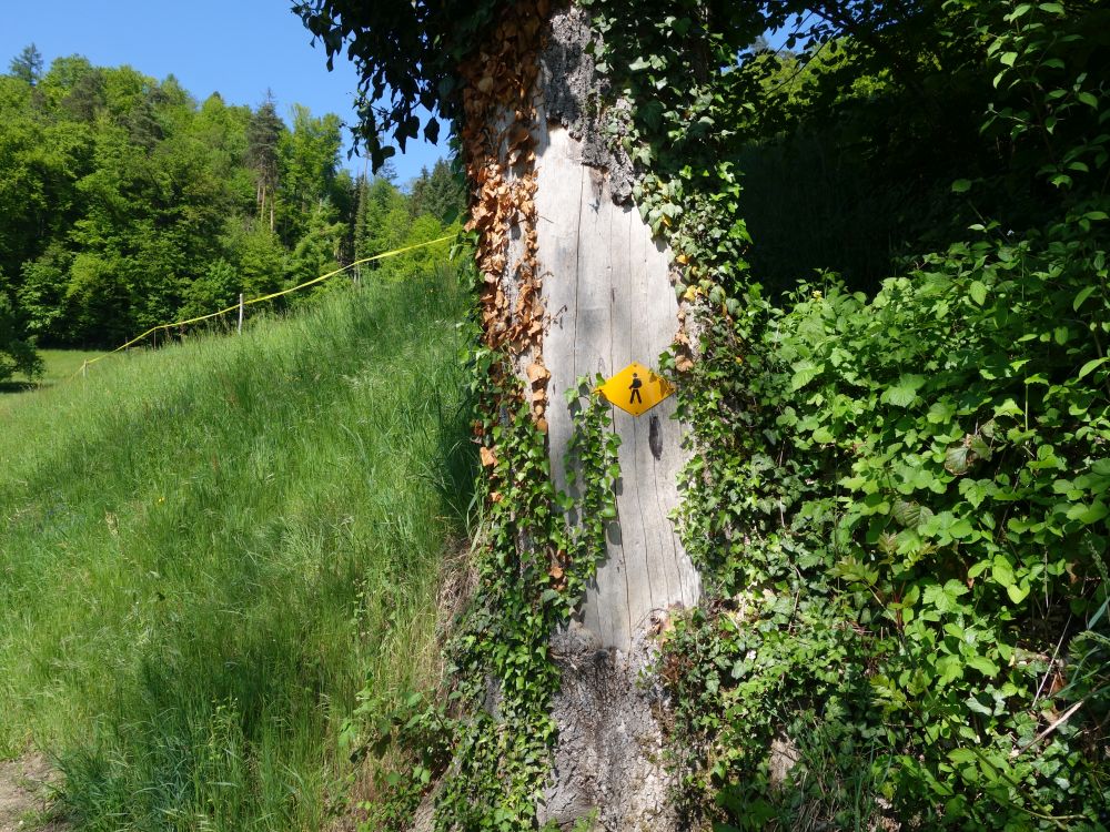 Wanderwegmarkierung