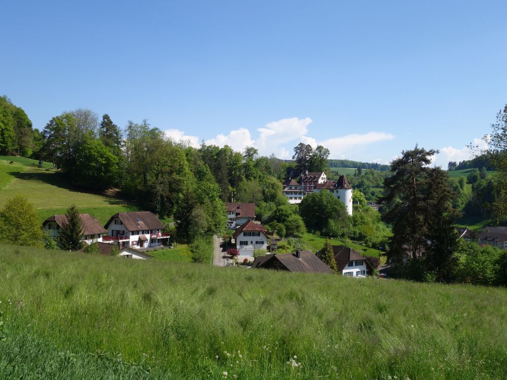 Schloss Trostburg