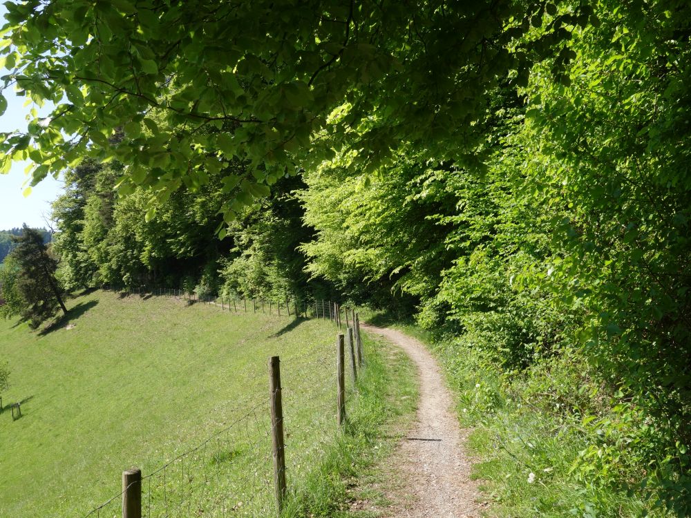 Liebeggerweg
