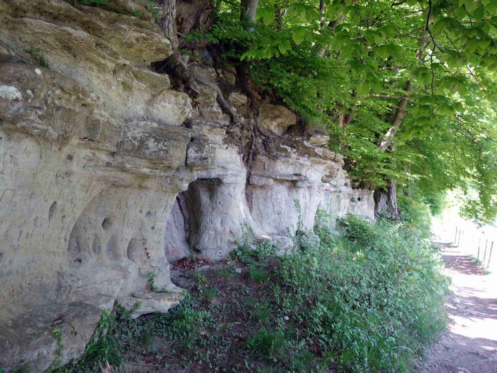 Sandsteinwand