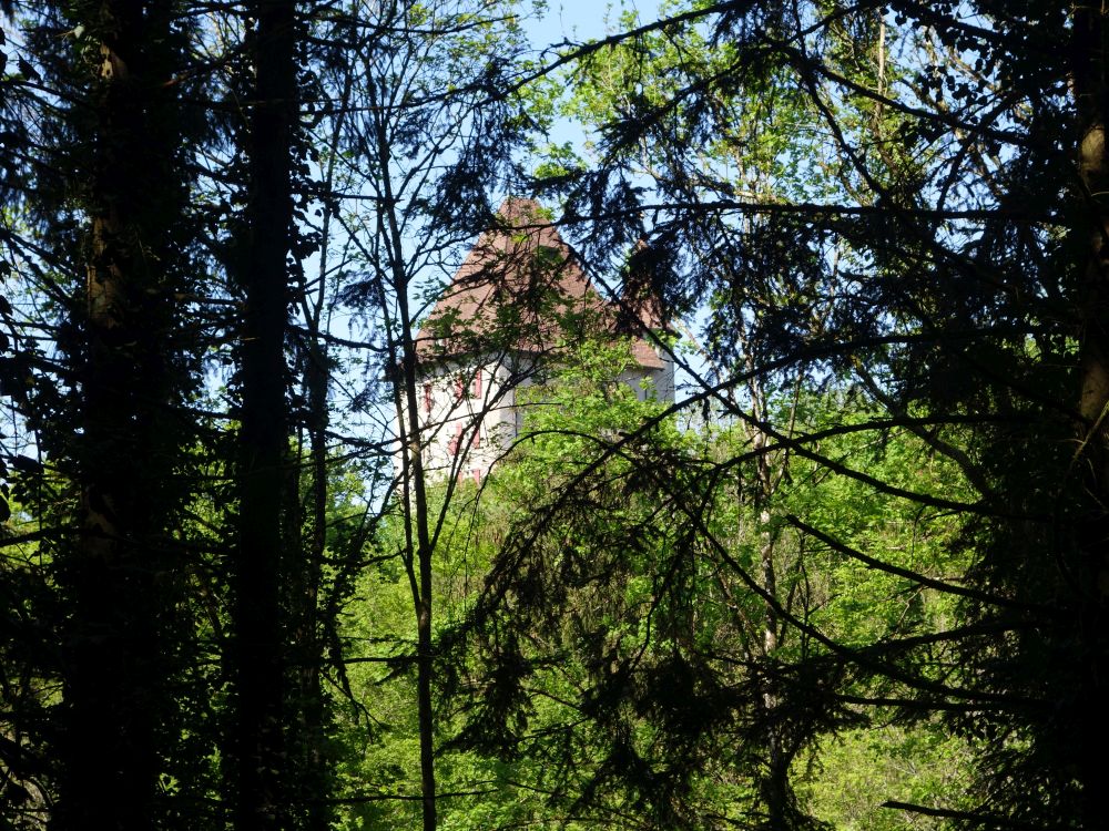 Schloss Liebegg
