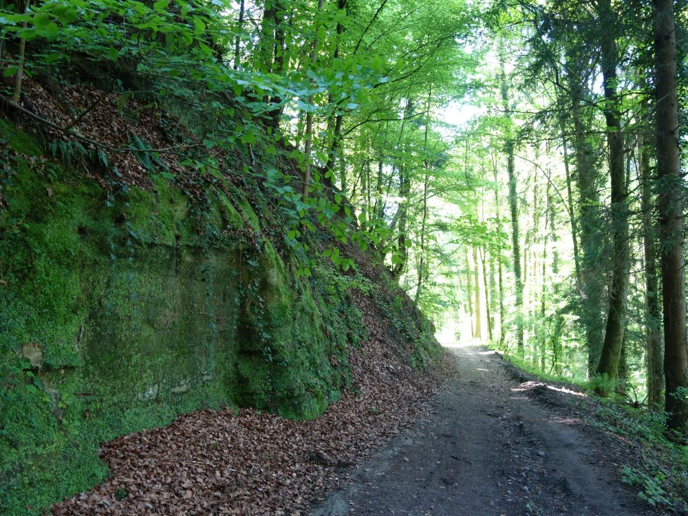Liebeggerweg