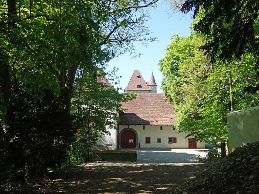 Schloss Liebegg