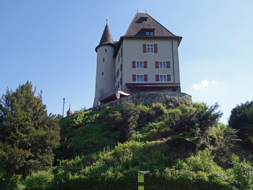 Schloss Liebegg