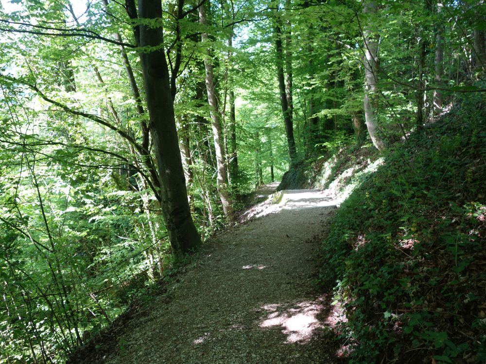Weg unterm Schloss