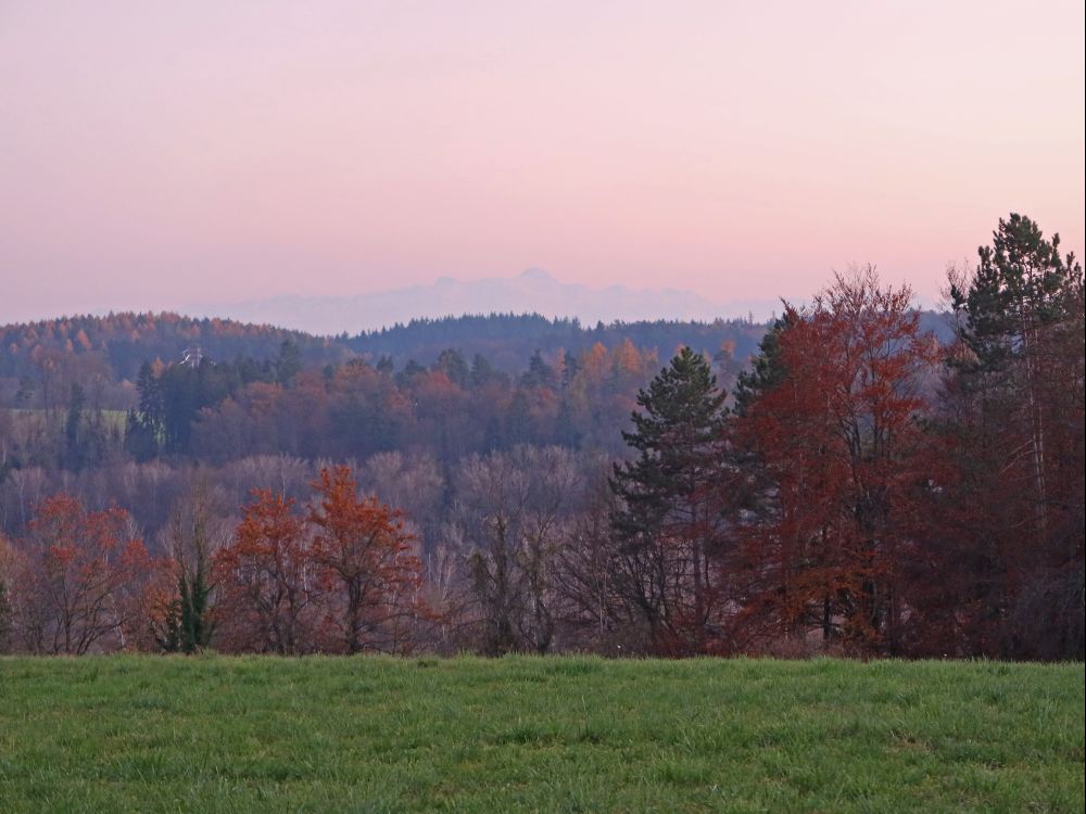 Herbstfarben mit Säntis im Dunst