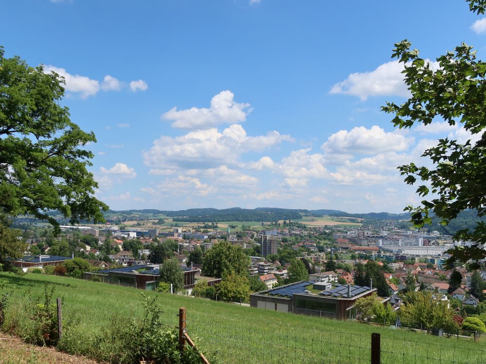 Blick auf Winterthur