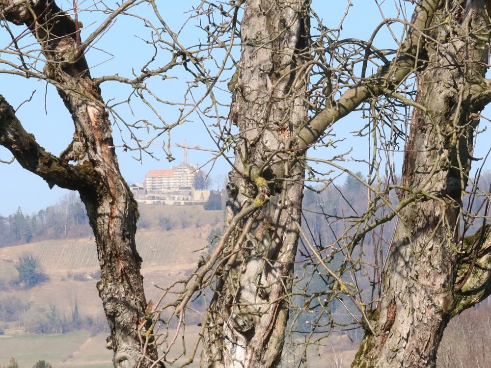 Schloss Sonnenberg zwischen Bäumen