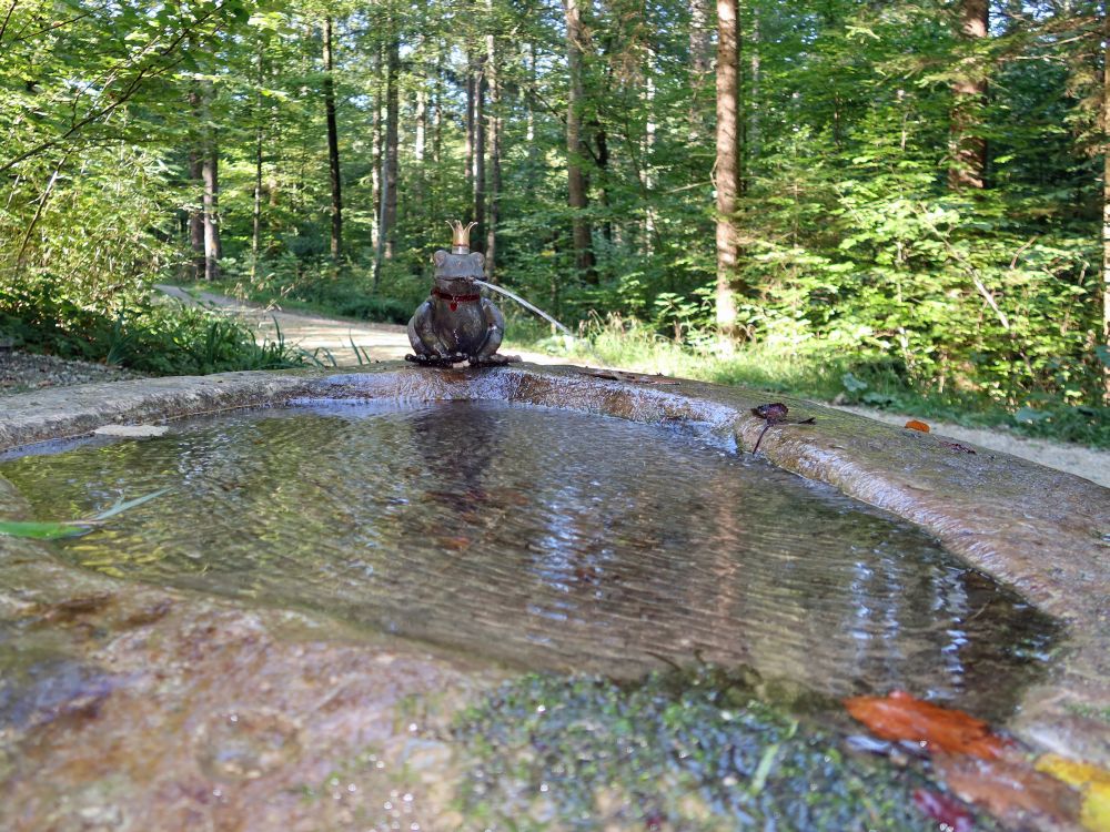 Brunnen am Ratzenhaldenbächli