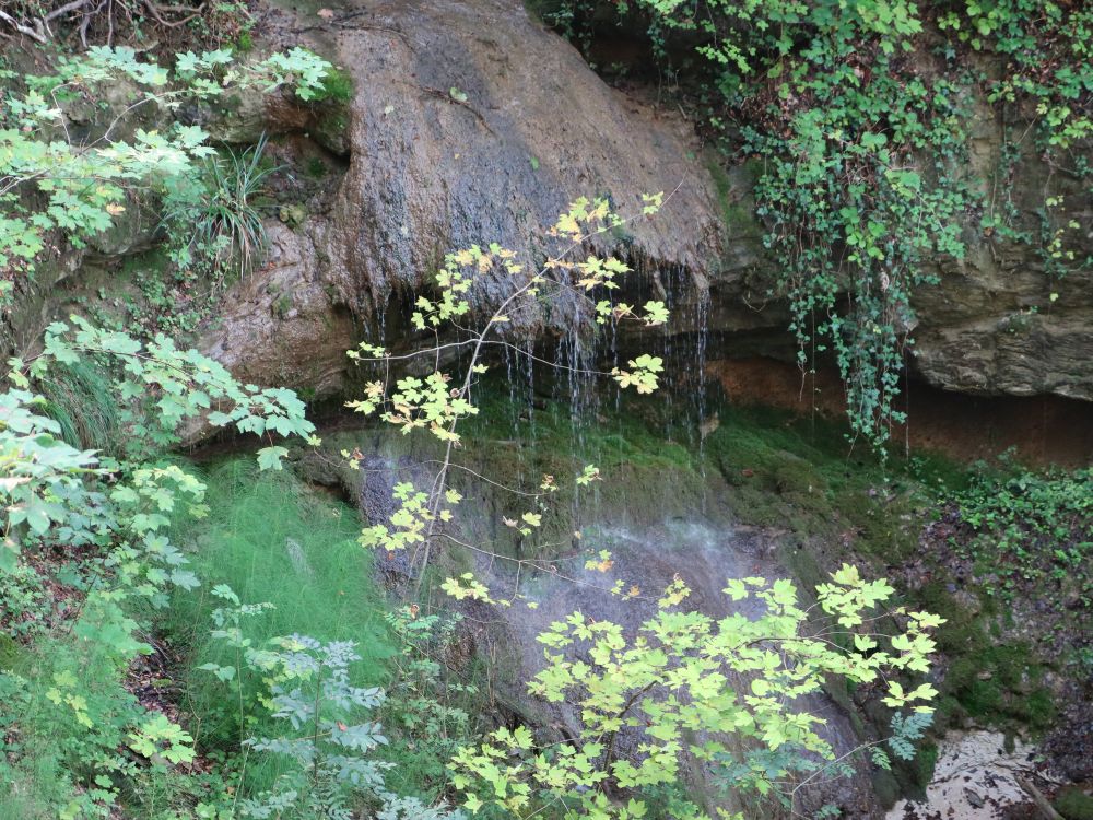 Wasserfall am Schlossweg