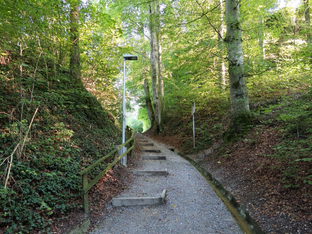 Schlossweg