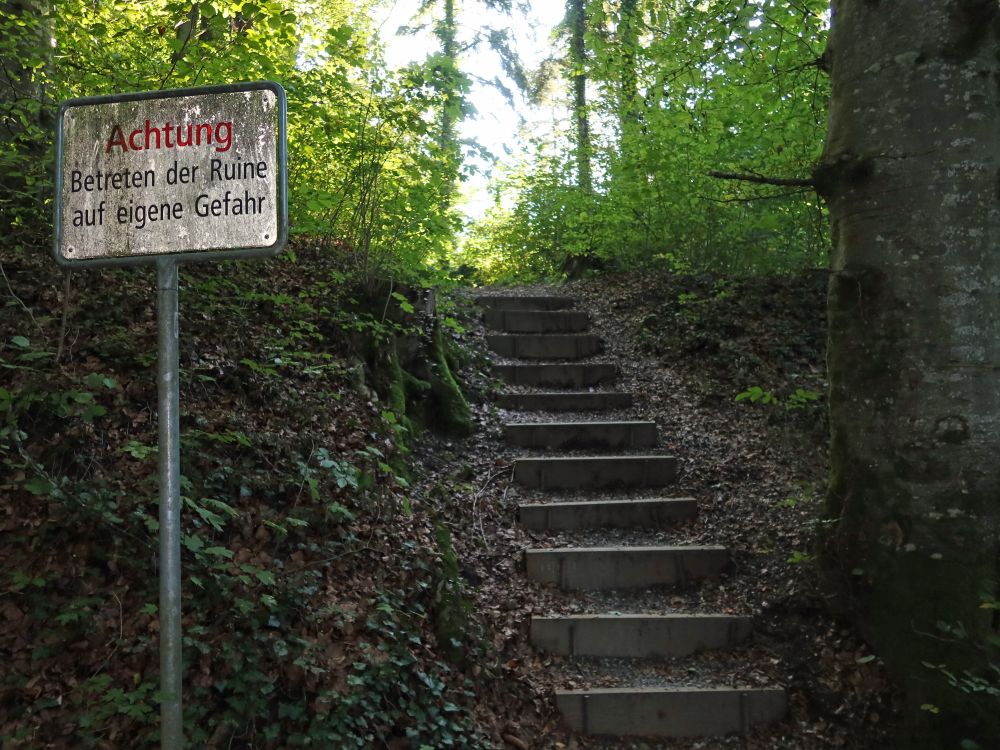 Treppe zur Ruine Dübelstein