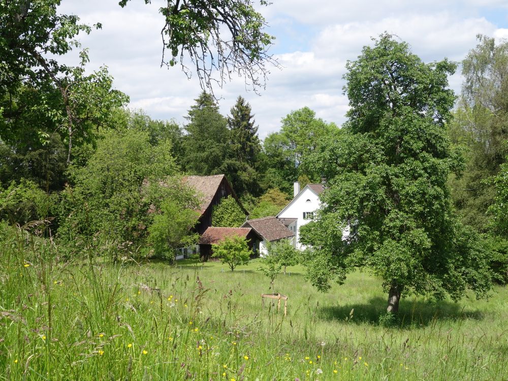 Bauernhof bei Dübelstein