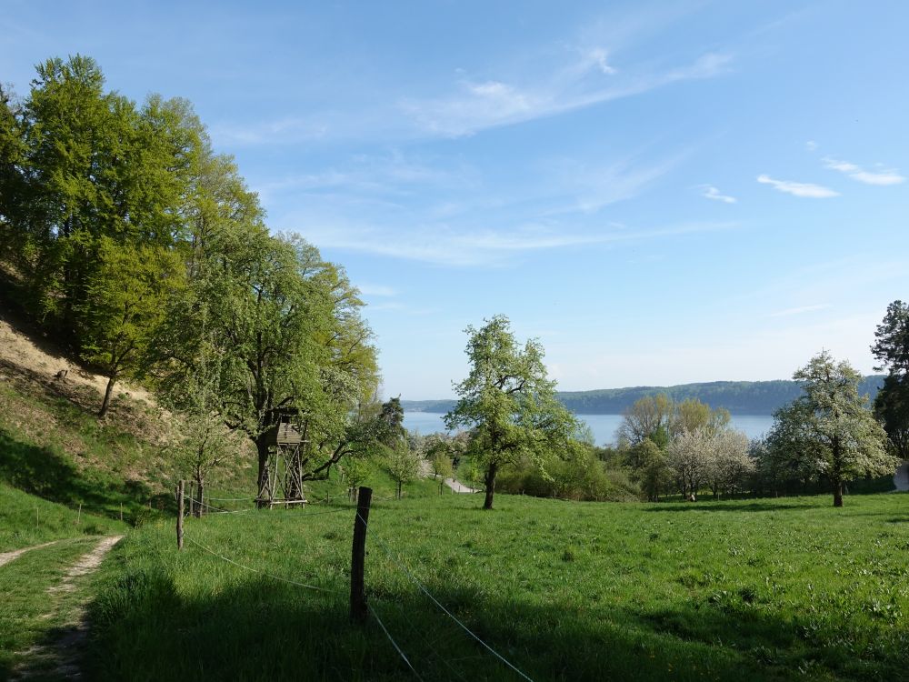 Landschaft nahe Niederhohenfels