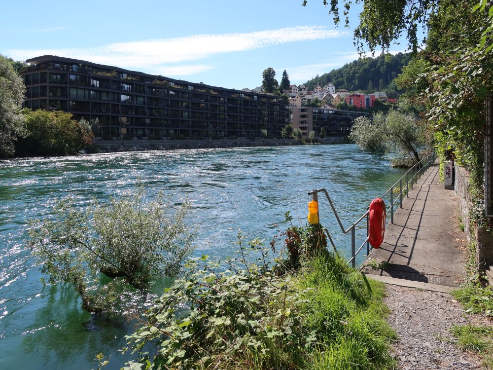 Fischerweg bei Reussinsel Süd