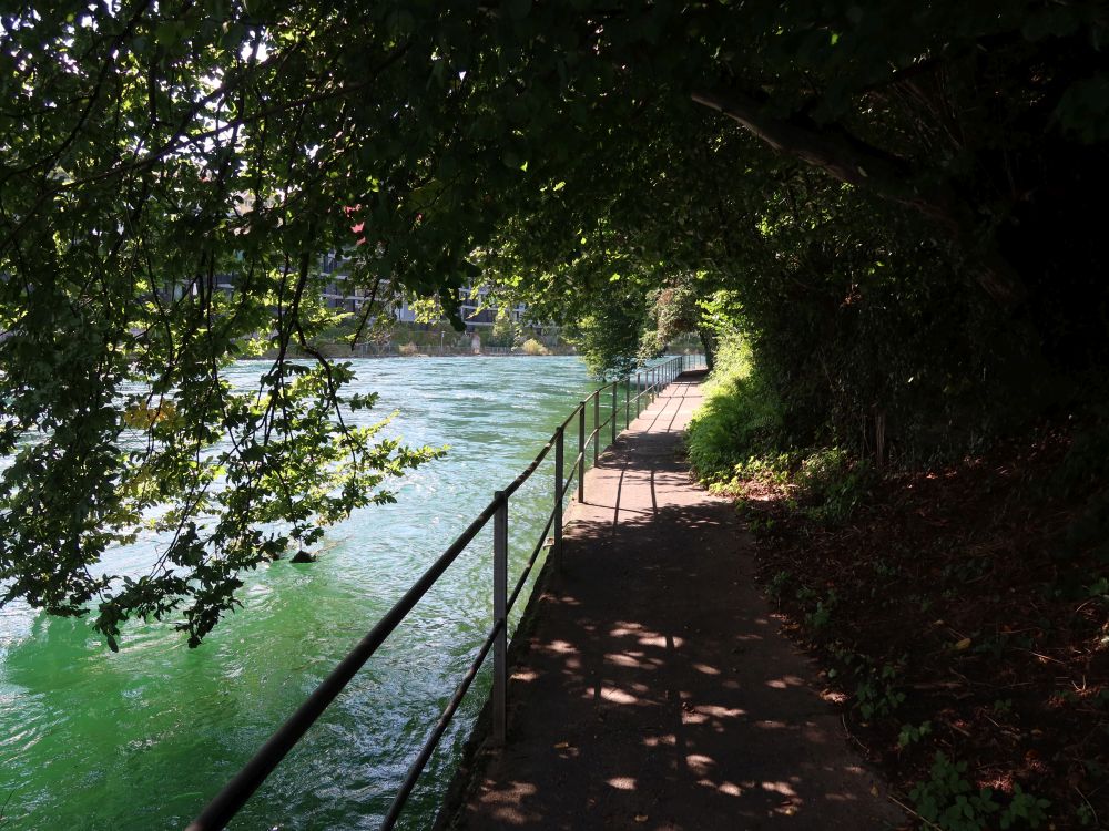 Fischerweg bei Reussinsel Süd