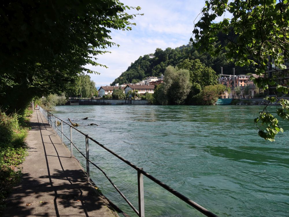 Fischerweg bei Reussinsel Süd