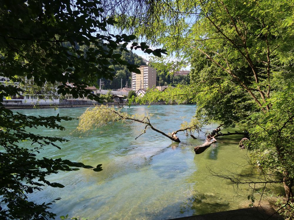 Reuss unterhalb Reussport