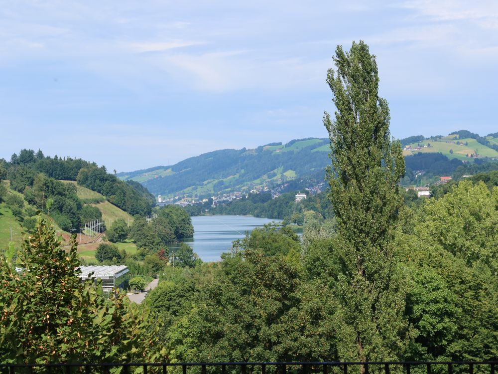 Blick zum Rotsee