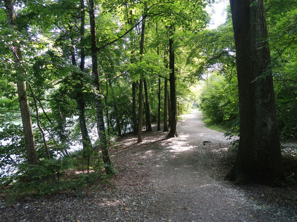 Uferweg bei Altsagi
