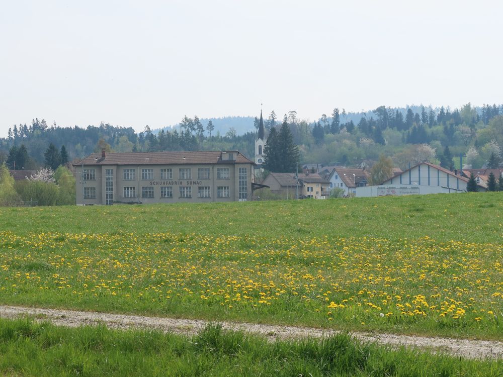 Schuhfabrik und Kirchturm Märwil