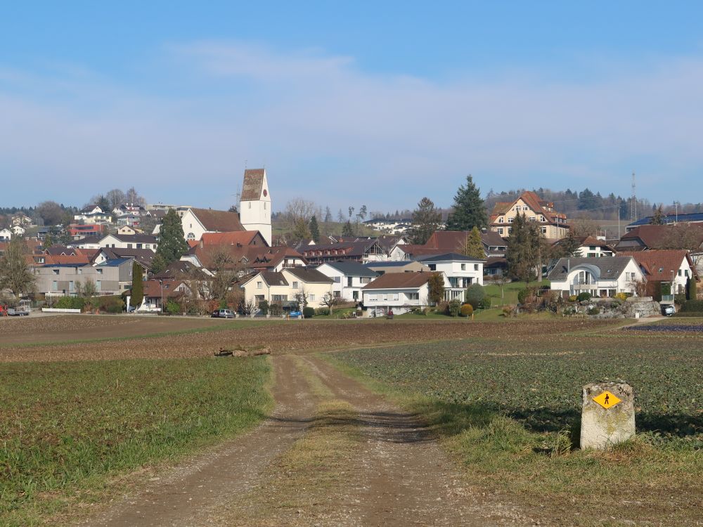 Blick Richtung Hägglingen