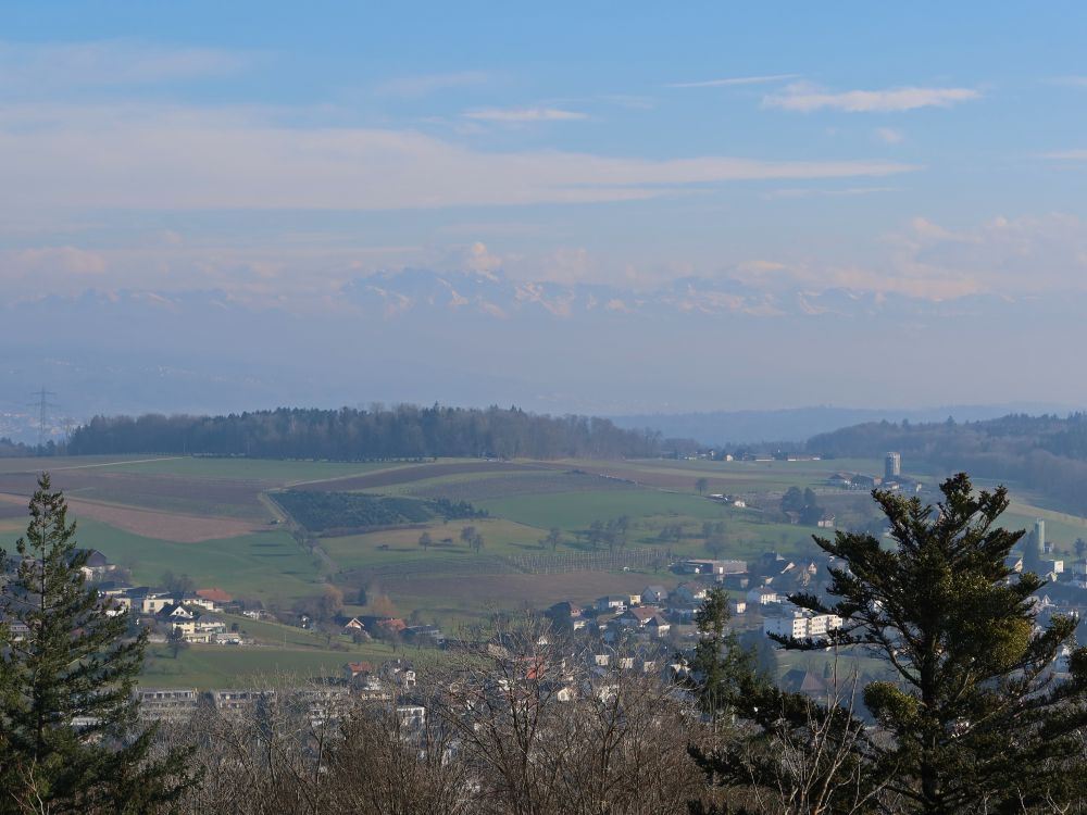 Blick vom Maiengrünturm