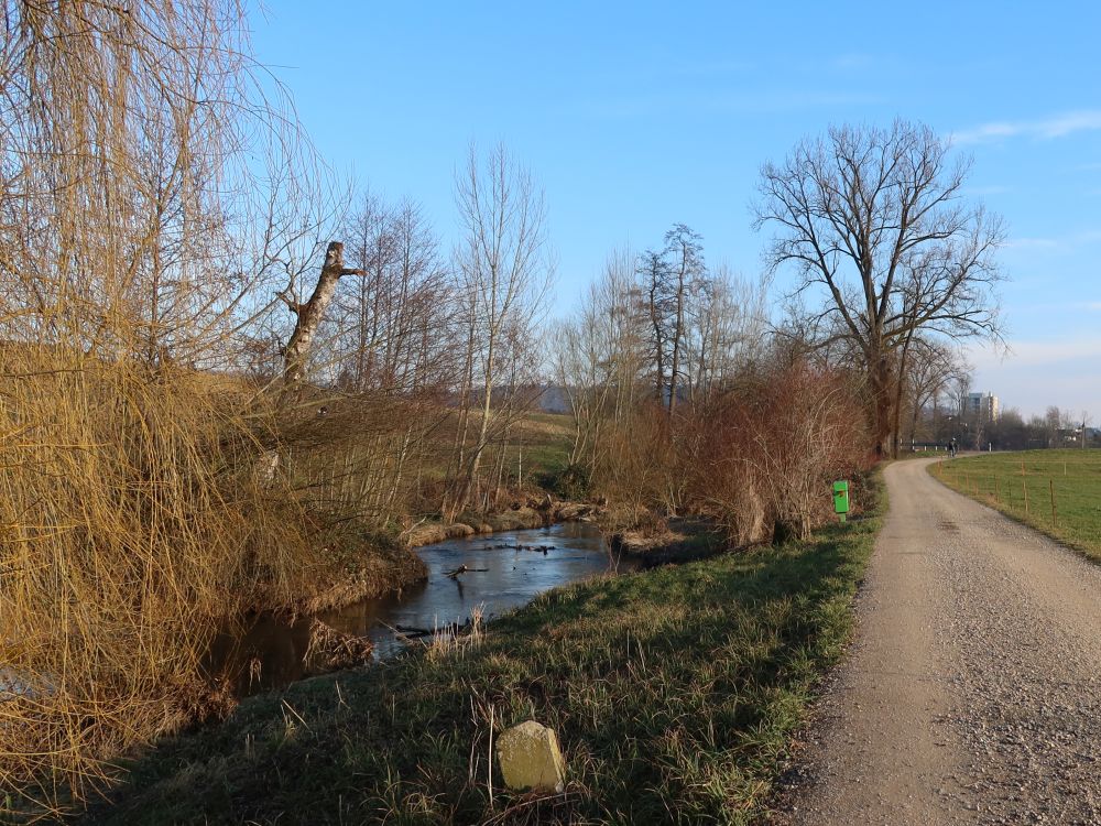 Weg an der Bünz