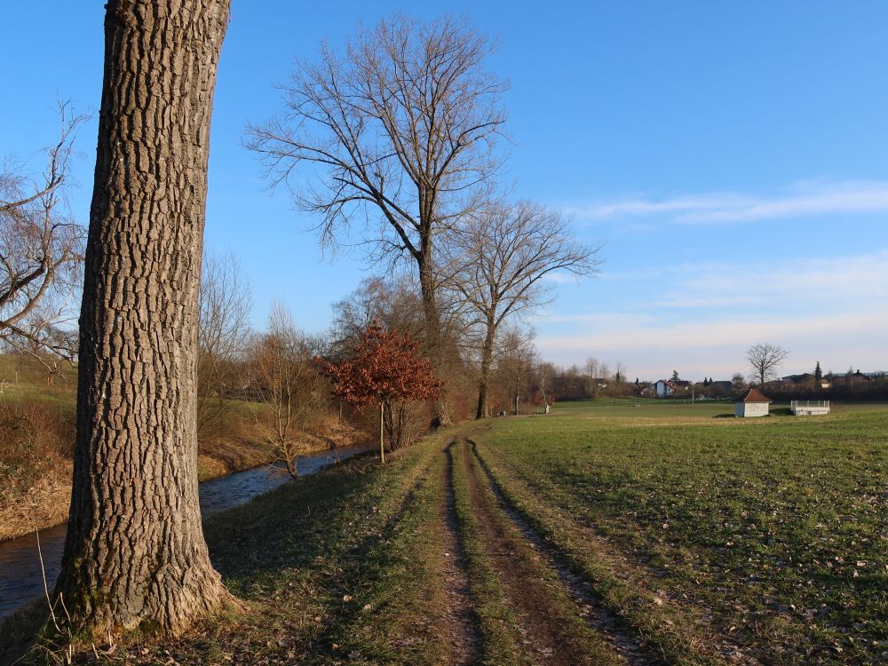 Pfad an der Bünz