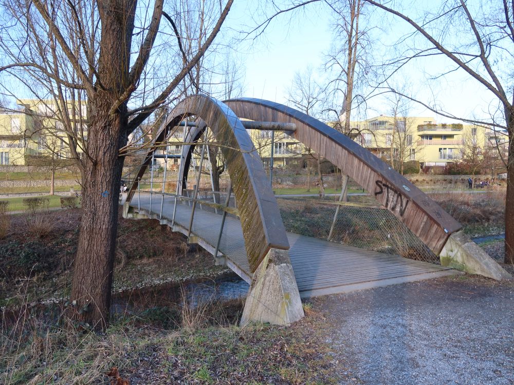 Fussgängerbrücke bei Dottingen