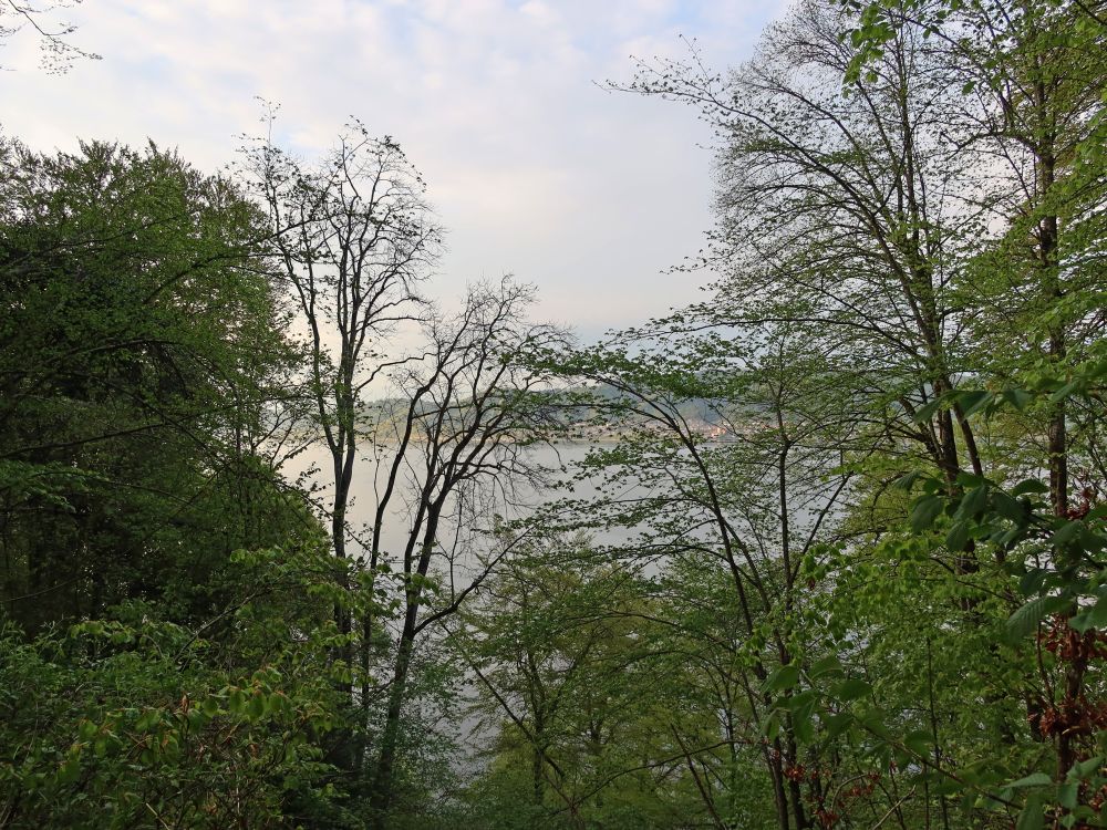 Blick zum Überlingersee