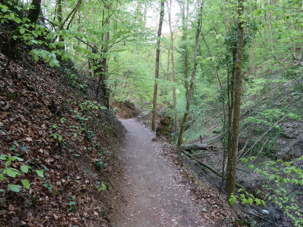 Schluchtweg