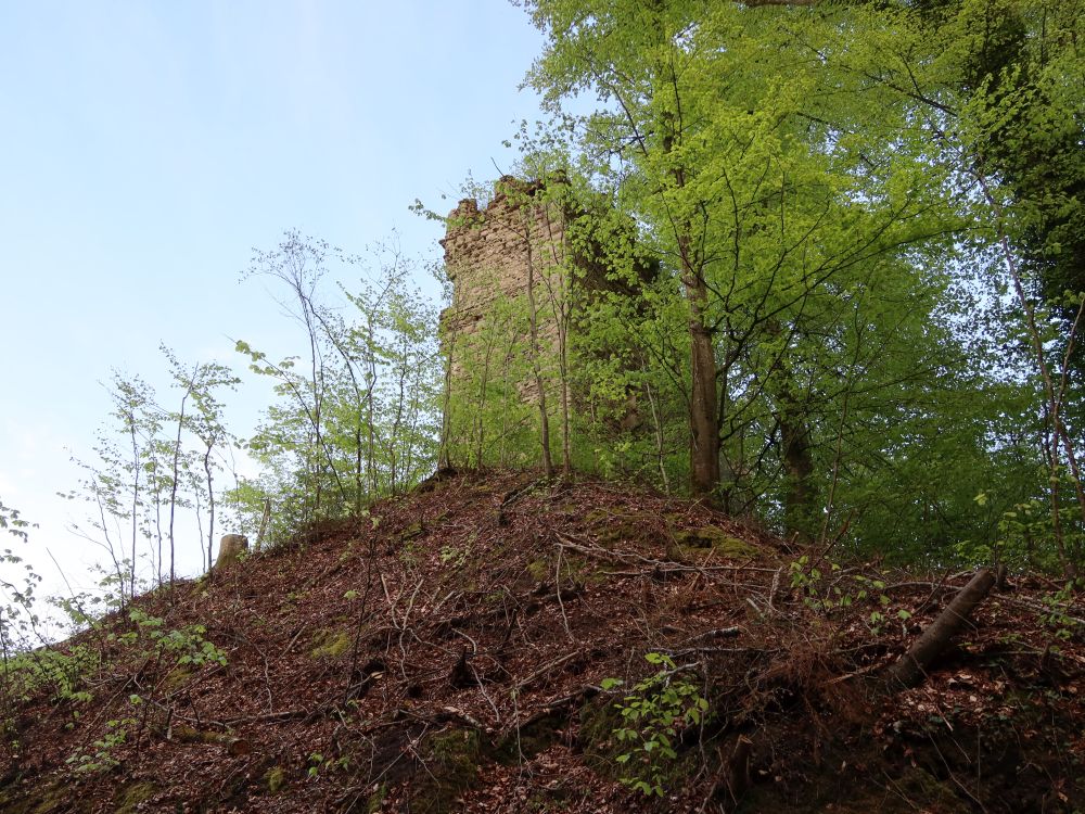 Ruine Kargegg