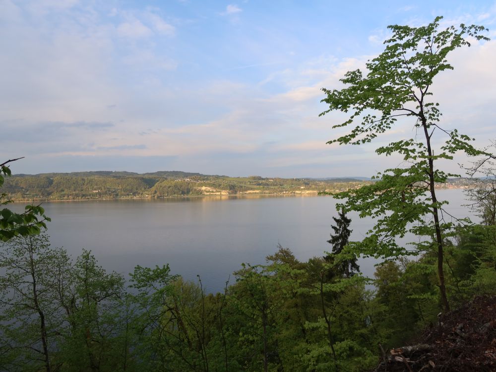 Überlingersee