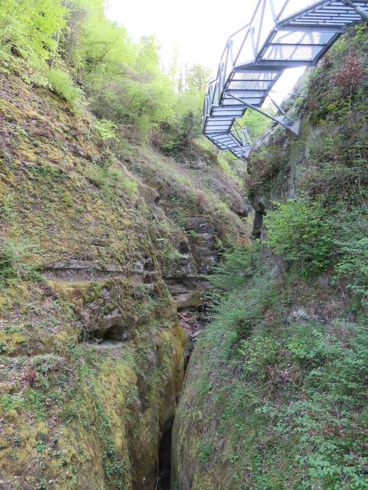 Schlucht unterm Eisensteg