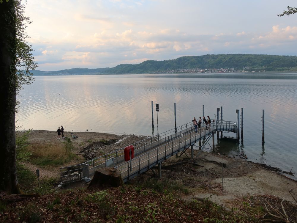 Bootssteg am Überlingersee