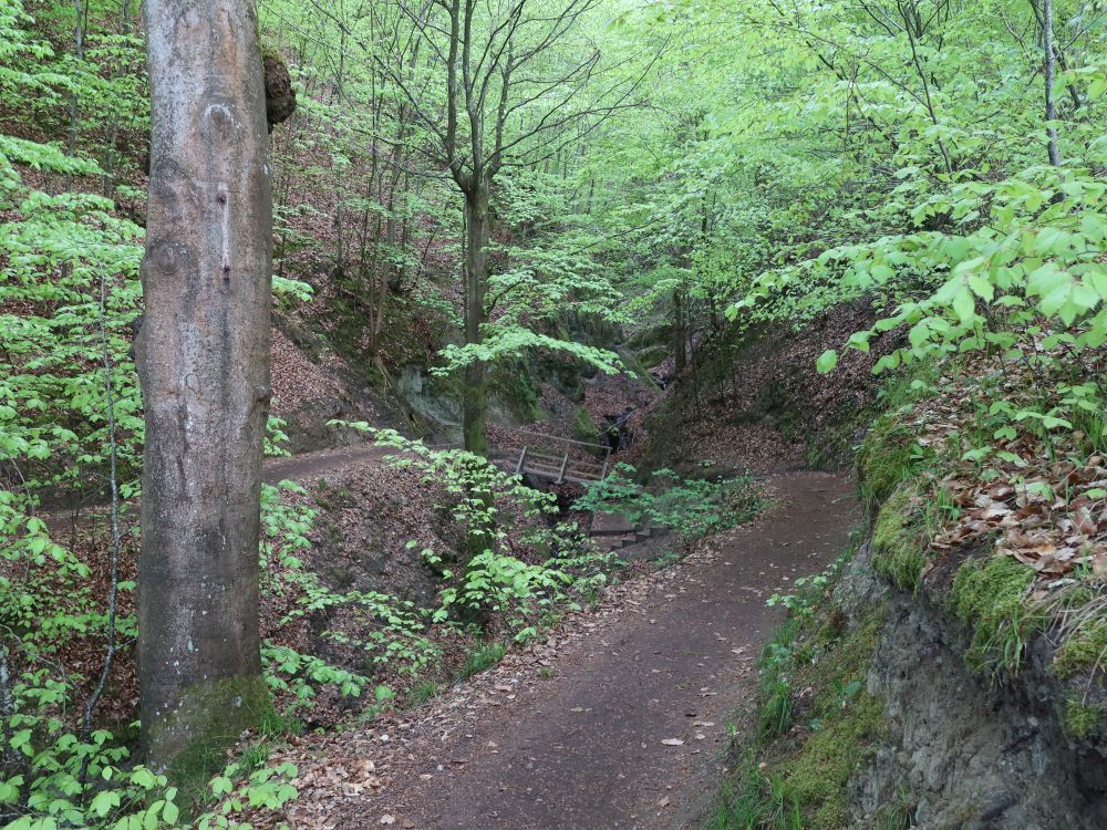 Pfad Richtung Walhausen