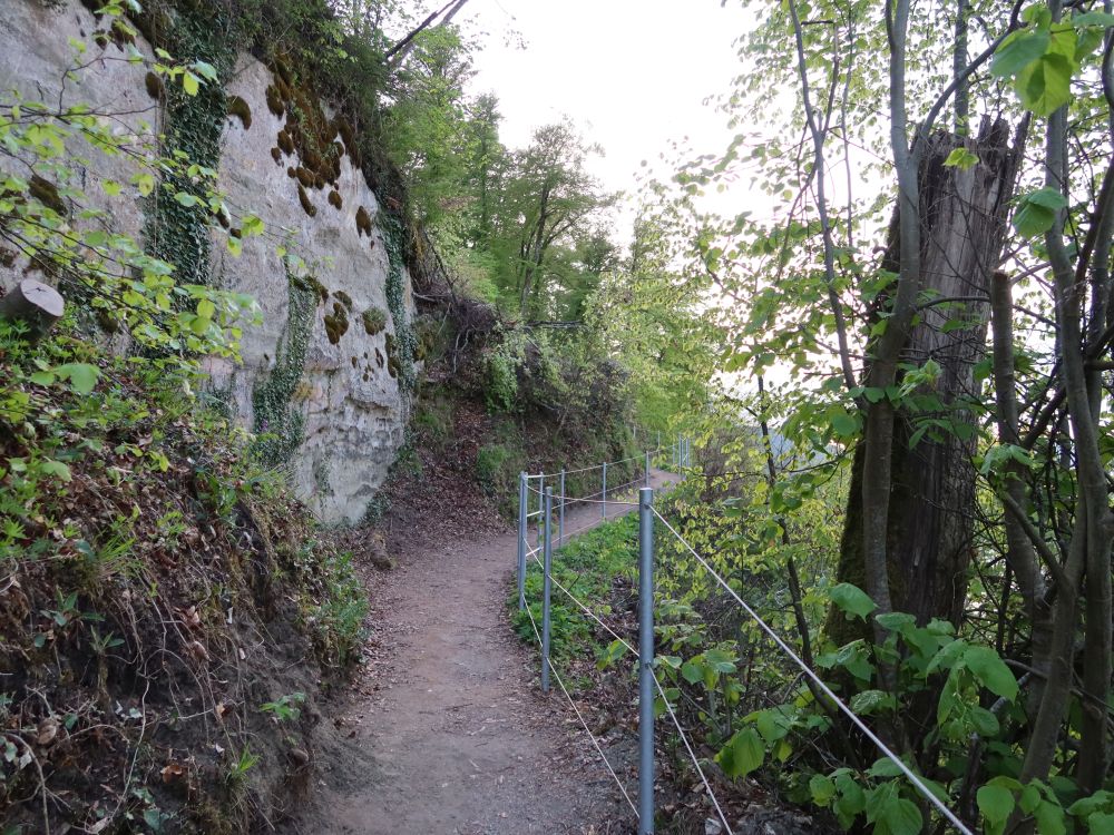 Pfad an der Felswand