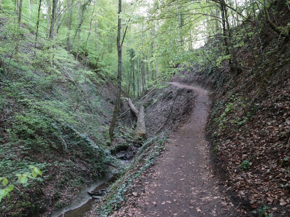 Schluchtweg