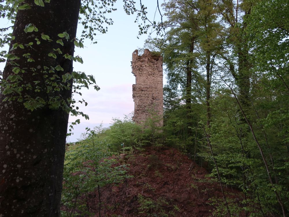 Ruine Kargegg