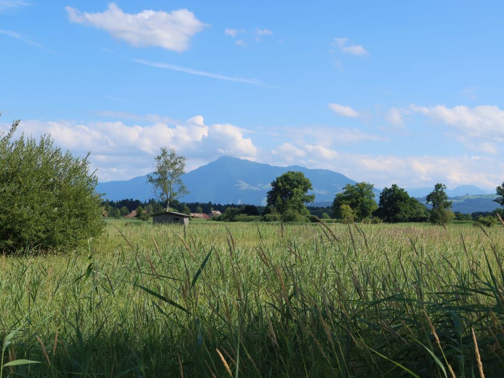 Blick Richtung Rigi