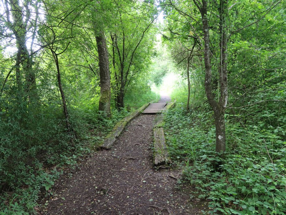 Pfad am Mauensee